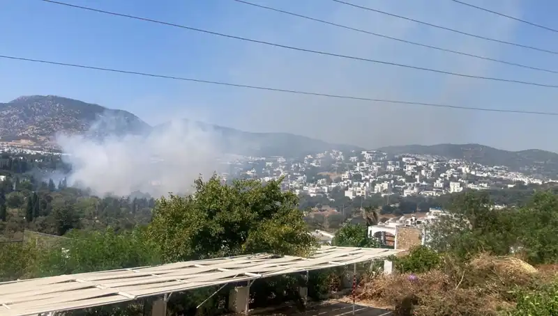 Muğla’daki Orman Yangınları Kontrol Altına Alındı, Endişeler Sona Erdi