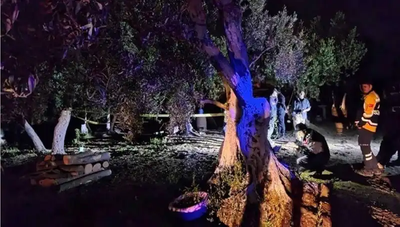 Çiftlikteki Baltalı Vahşet: Sıra Dışı Bir Tutuklama Öncesi Yaşananlar
