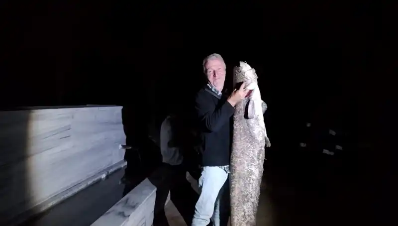 Barajda Oltaya Takılan Dev Balık Şaşkınlık Yarattı