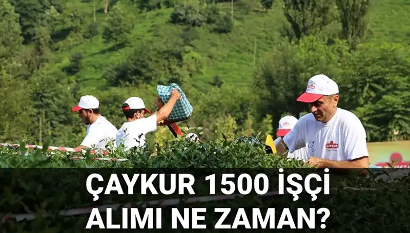 Çaykur İşçi Alımı Başvuru Tarihleri Açıklandı: İşte Bilmeniz Gerekenler