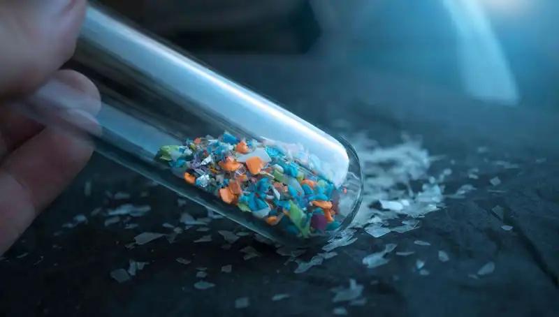 Mikroplastikler İnsan Beynine Kadar Sızdı: Sağlık Riskleri ve Önlemler