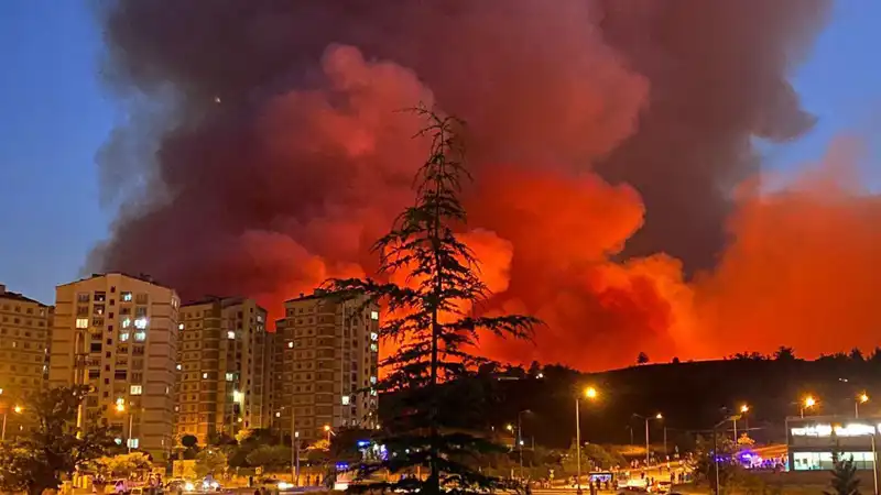 Bursa'da Yangınlar İle Mücadele: Şehir Kara Dumanla Kaplandı