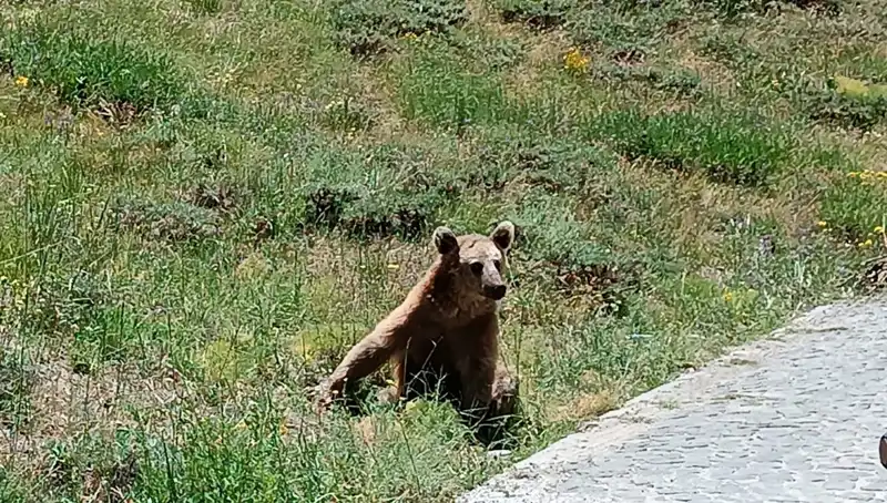 Nemrut Dağı’nda Boza İçme Uyarısı: Ziyaretçileri Neler Bekliyor?