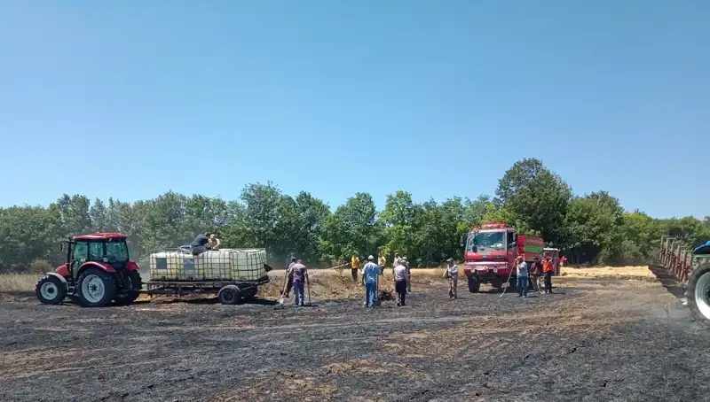 : Buğday Tarlasında Yangın: 10 Dönüm Alevlere Teslim Oldu