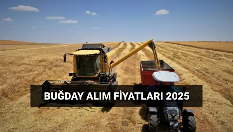Hububat Alım Ücretleri Ne Zaman Hesaplara Geçiyor? 2025 Fiyatları Açıklandı!