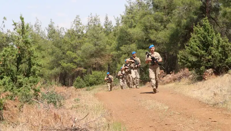 Kilis'te Orman Yangınlarına Karşı Önlemler Artıyor: Denetimler Sıkılaşıyor