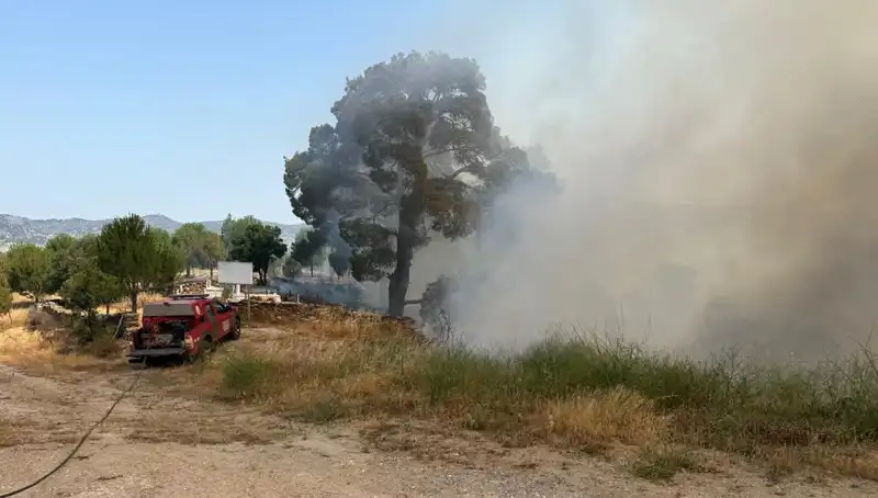 Muğla'da Çıkan Orman Yangını: Ekipler Seferber Oldu!