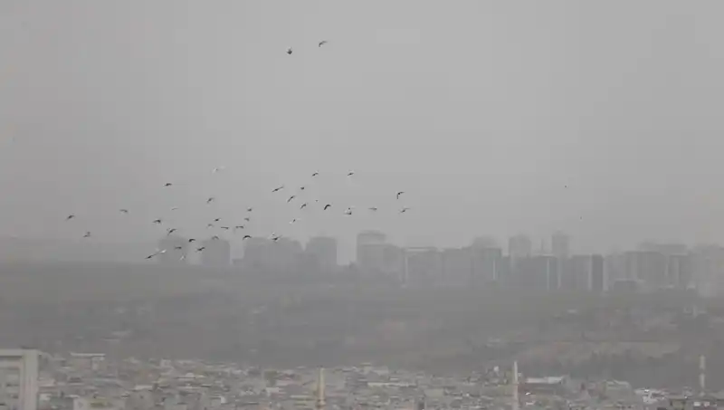 Şanlıurfa’da Toz Bulutları, Kent Hayatını Tehdit Ediyor!