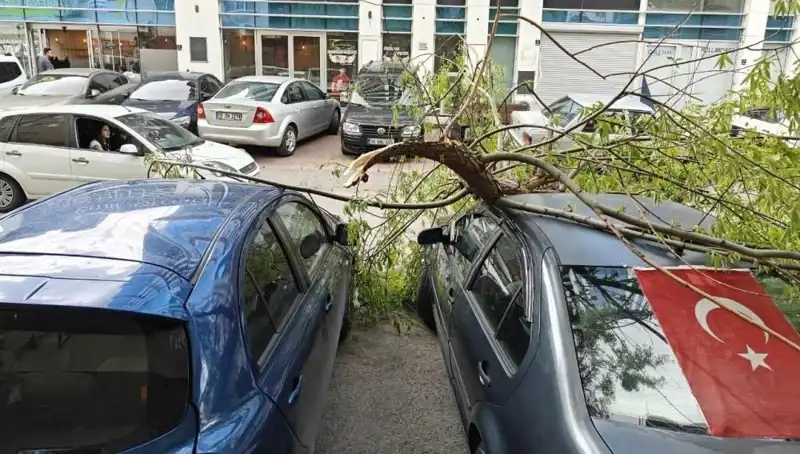 Kayseri'de Fırtına: Dalları Kıran Doğa Olayının Etkileri