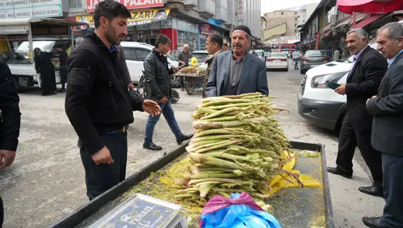 Dağlık Alanlardan Toplanan Şeker: Sağlık Faydaları ve Pazardaki Yükselişi