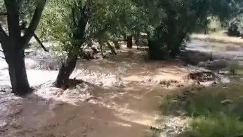 Mersin'de Sağanak Yağışlar Sel Felaketine Dönüştü: Şehirde Yaşam Durma Noktasında