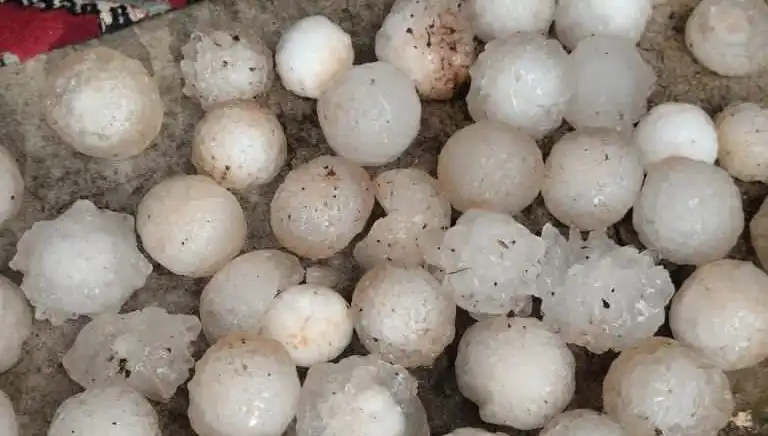 Şanlıurfa'da Kar Topu Büyüklüğünde Dolu Yağışı Şok Etti