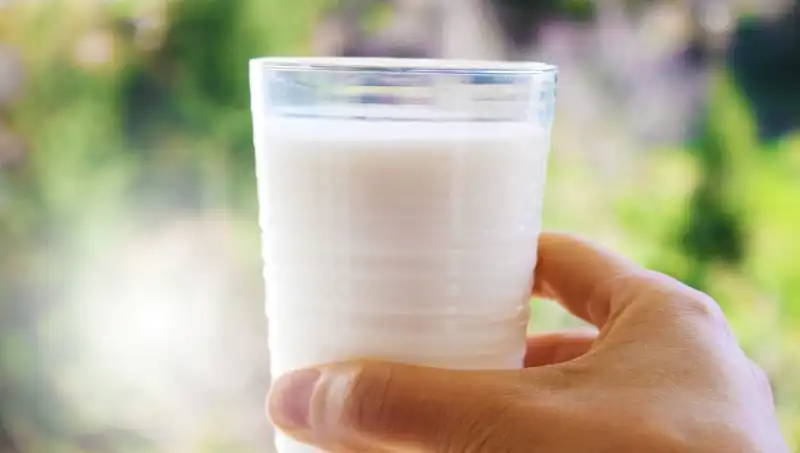 Süt Tüketiminin Şişkinliğe Etkisi: Uzman Doktorun Pinnicinin Sırları