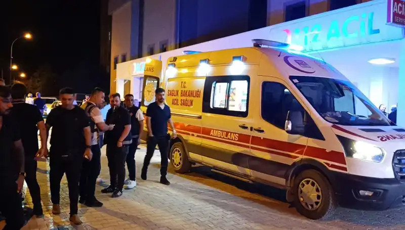 Kardeş Kavgasına Müdahale Eden Genç, Hayatını Kaybetti