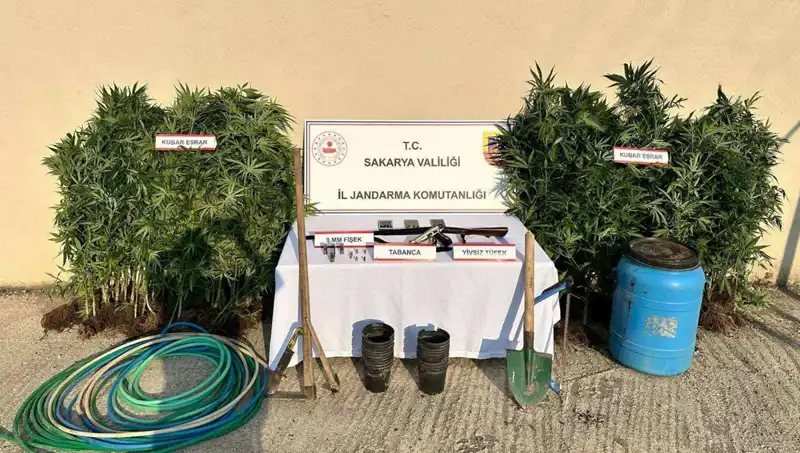 Sakarya'da Düzenlenen Uyuşturucu Operasyonunda 1 Kişi Tutuklandı
