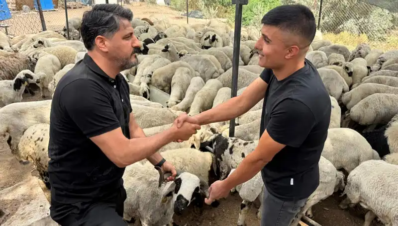 Kurbanlık Alırken Tuz ve Sumak Kullanımına Dikkat: Dolandırıcılığın Yeni Yöntemi mi?