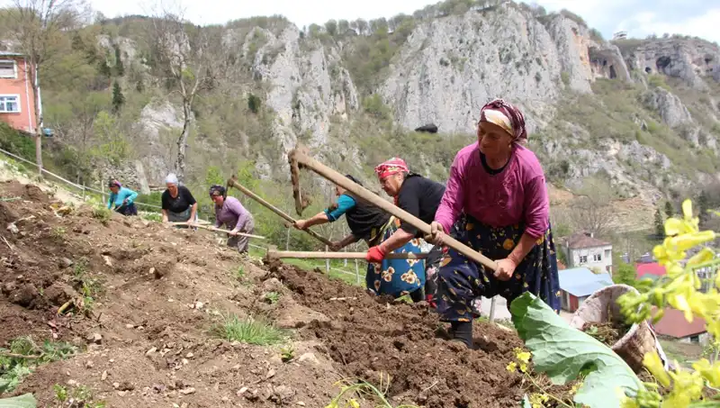 Zorlu Mesaiye Başlayan İşçiler: Sepetler Sırtlarda, Kazmalar Ellerde