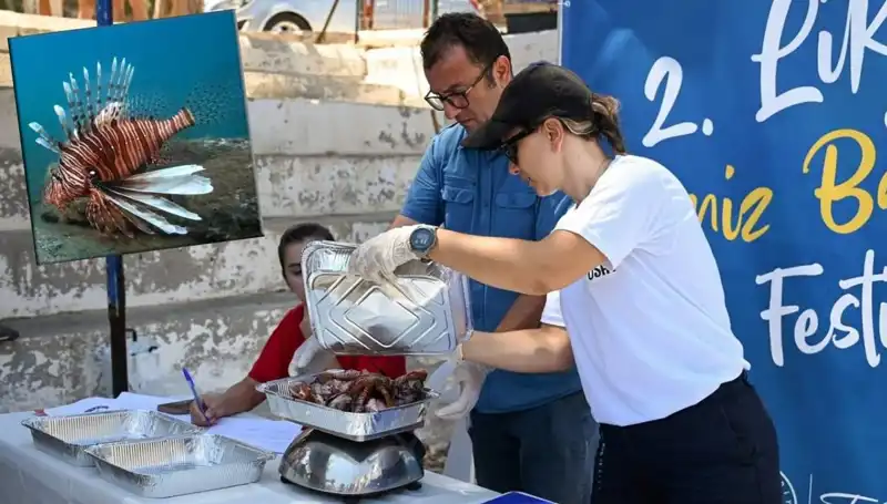 Antalya'da İlk Kez Düzenlenen İstilacı Aslan Balığı Avlama Yarışması
