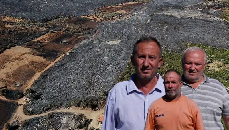 Çeşme Yangınları: Felaketin Ardındaki Acı Tablo ve Kaybın Boyutu