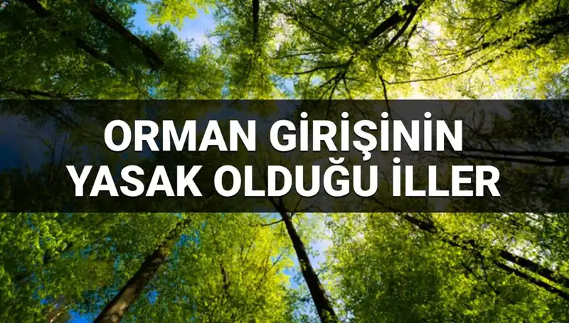 2025'te Ormana Girişi Yasaklanan İller: Detaylar Burada!