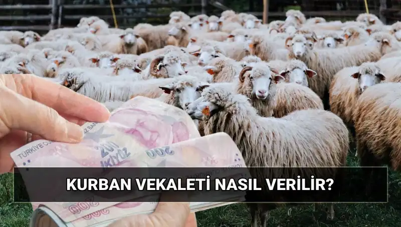 Vekaletle Kurban Kesimi: Nasıl Yapılır, Ücretleri ve 2025 Detayları