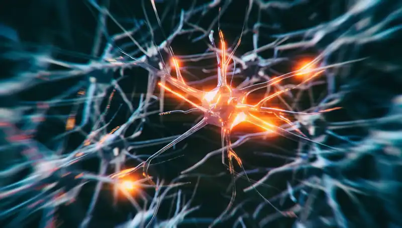 Alzheimer Vakalarının Artışı: Sebepleri ve Çözüm Önerileri