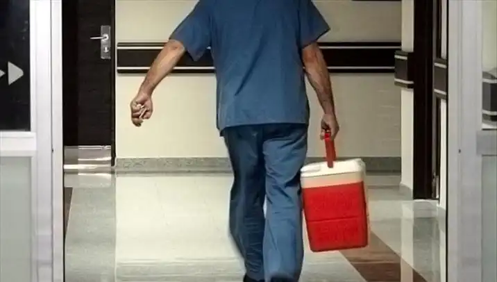 Organ Bağışında Devrim: e-Devlet ve e-Nabız ile Kolaylaştırılan Süreç