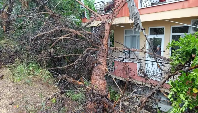** Yağışların Ardından: Bina Çöktü, Şehirde Panik Hava Hakim Oldu!