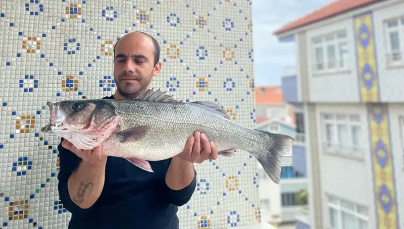 7.5 Kilogramlık Dev Levrek Avı: Balıkçılar Arasında Heyecan Yarattı