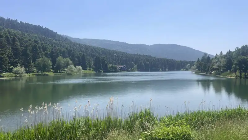 Bolu'nun Milli Parkları: Doğa Tutkunlarının Yeni Cenneti
