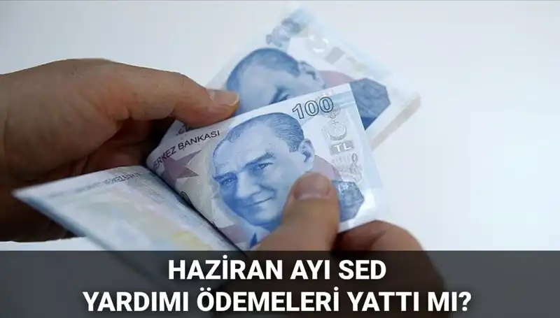Haziran Ayı SED Ödemeleri Sorgulama: 2025'te Ödemeler Yattı mı, Ne Zaman Yatacak?