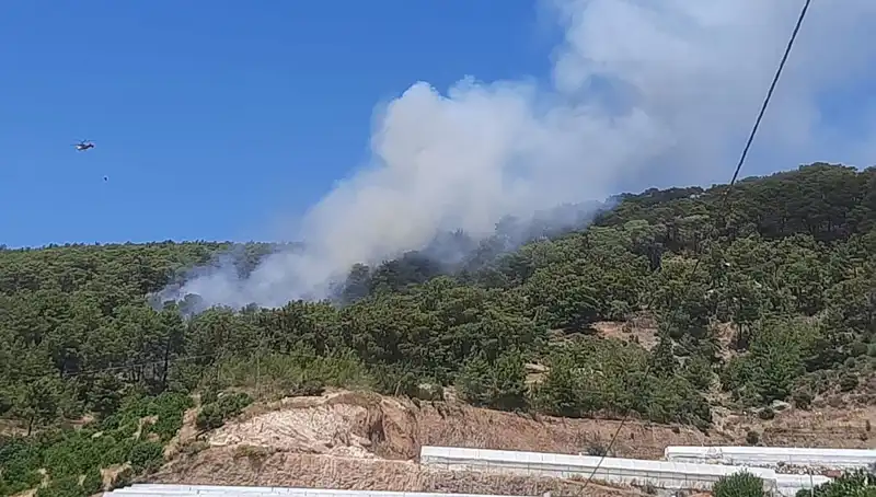 Kumluca'da Büyüyen Orman Yangını: Yerleşim Alanlarını Tehdit Ediyor