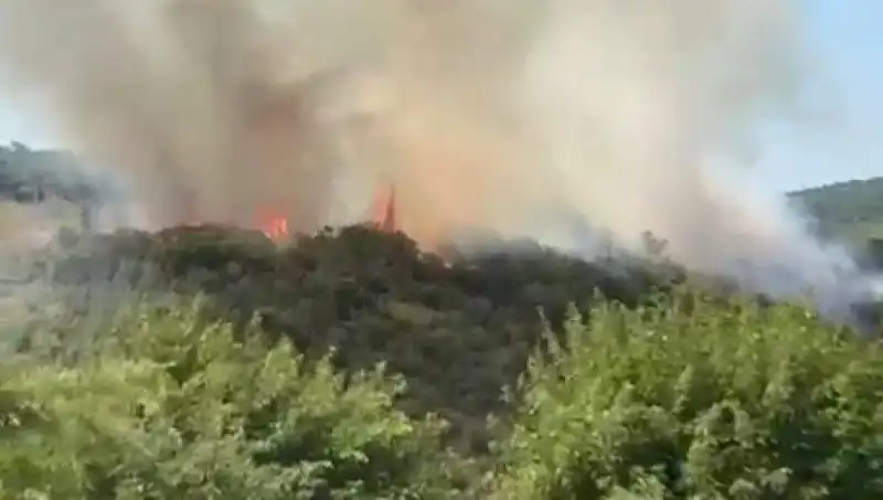 İstanbul Orman Yangını: Acil Tahliye Kararı Alındı, Vatandaşlar Güvenli Bölgelere Sevk Edildi