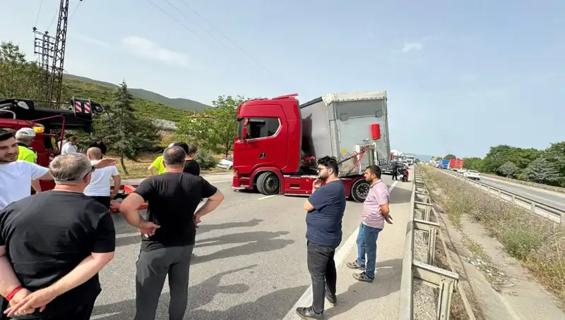 Seyir Halindeyken Arı Sokması: Trafikte Şok Anlar ve Panik