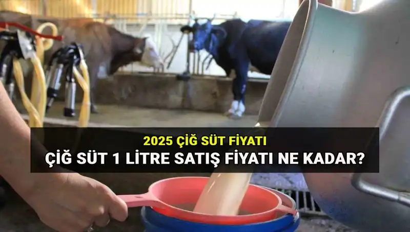 2025 Çiğ Süt Fiyatları Belirlendi: Ulusal Süt Konseyi'nden Açıklama Geldi!