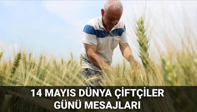 14 Mayıs Dünya Çiftçiler Günü: Çiftçilerin Değerini Anlamak ve Kutlamak
