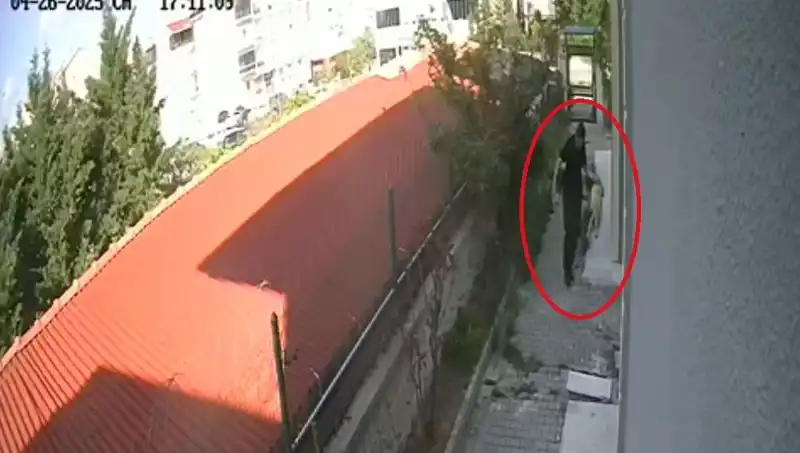 Hayvanlara Ölüm Getiren Doktorun Şok Edici Suçları Ortaya Çıktı